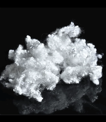 Polyester Fiber